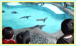 親子で楽しむ須磨海浜水族園と遊園地