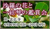 沙羅の花と一絃琴の鑑賞会