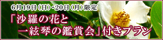 沙羅の花と一絃琴の鑑賞会付きプラン