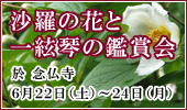 沙羅の花と一絃琴の鑑賞会