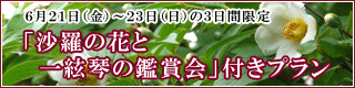 沙羅の花と一絃琴の鑑賞会付きプラン