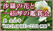 沙羅の花と一絃琴の鑑賞会