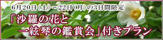 沙羅の花と一絃琴の鑑賞会付きプラン