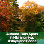 Autumn Tints Spots in Nishinomiya, Ashiya and Sanda
