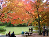 Kobe Arboretum
