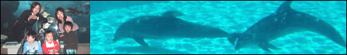Guide for Families to Suma Aqualife Park