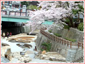 Taiko-hashi Bridge