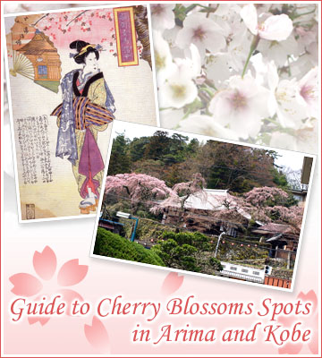 有馬温泉と神戸の桜の名所