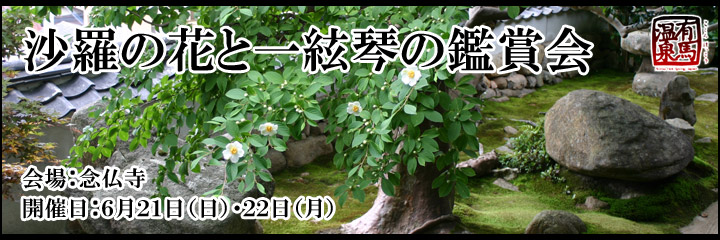 沙羅の花と一絃琴の鑑賞会のご案内