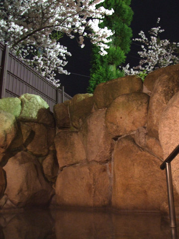 Night View of Ryuusenkaku Private Outdoor Baths