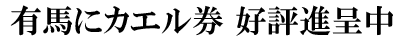 LnɃJGD]i撆