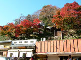 Zenpukuji Temple and Taiko Street