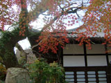 Zenpukuji Temple and Taiko Street