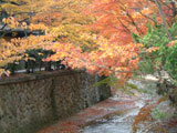 Tsuzumigataki Park and Takigawa River