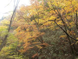 Momiji-dani Valley