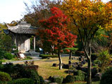 Kitayama Park & Kitayama Botanical Garden