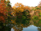 Kitayama Park & Kitayama Botanical Garden