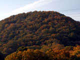 Mt. Kabuto Forest Park