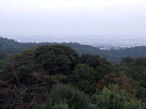 Mt. Kabuto Forest Park