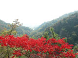 Koza Waterfall of Mt. Takao