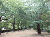 Iwagahira Park