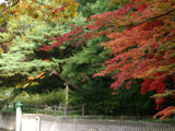 Futatabi Park