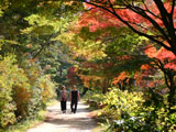 Kobe Arboretum