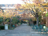 Suma Rikyu Park