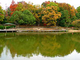 Okusuma Park