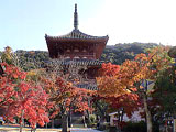 Taisanji Temple