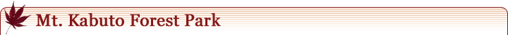 Mt. Kabuto Forest Park