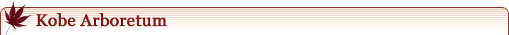 Kobe Arboretum