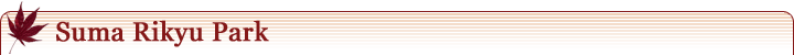 Suma Rikyu Park