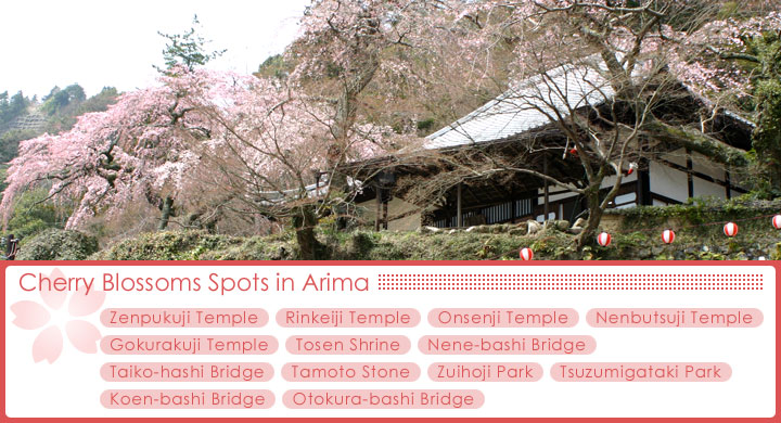 Index of Cherry Blossoms Spots in Arima