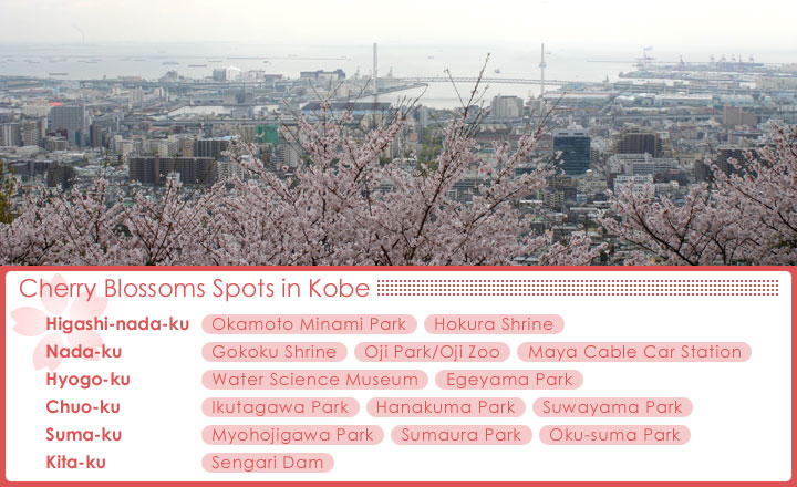 Index of Cherry Blossoms Spots in Kobe