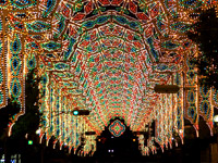 Kobe Luminarie