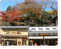 Taiko-dori Street