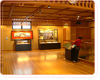 Hideyoshi's Bath Museum (Taiko no Yudonokan)
