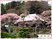 Zenpukuji Temple