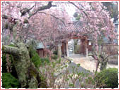 Rinkeiji Temple