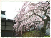 Rinkeiji Temple