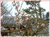 Rinkeiji Temple