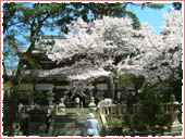 Onsenji Temple