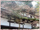 Gokurakuji Temple (Hideyoshi's Bath Museum)