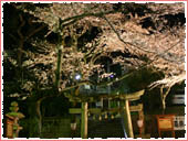 Tosen Shrine