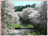 Koen-bashi Bridge