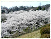 Kitayama Dam