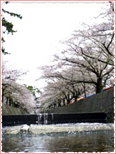 Shukugawa Park