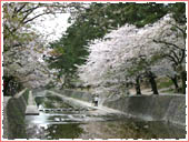 Shukugawa Park