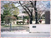 Iwagahira Park (Montebello Rose Garden)